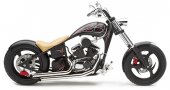 2007 Rhino Hunter R photo
